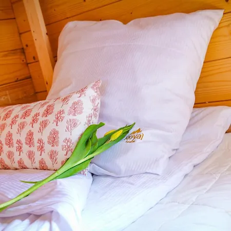 Nad Morzem Harmony Land By Royal Aparts * Гонски