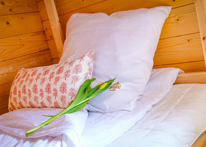 Nad Morzem Harmony Land By Royal Aparts * Gąski